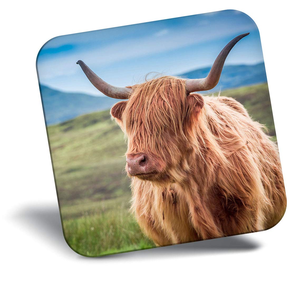 The 10 Best Refrigerator Magnet Highland Cow