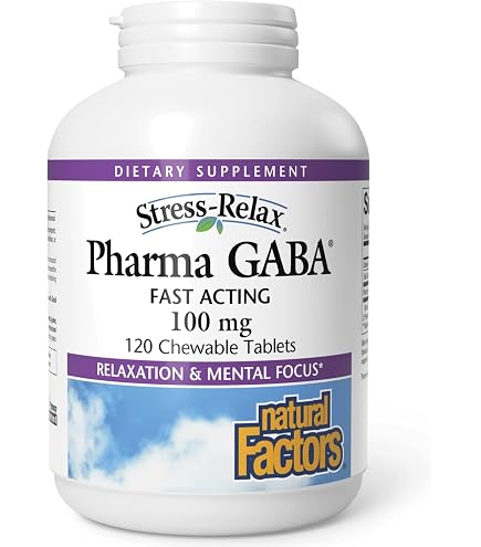Complément Alimentaire GABA Goût Orange NOW Foods - 90 Pastilles