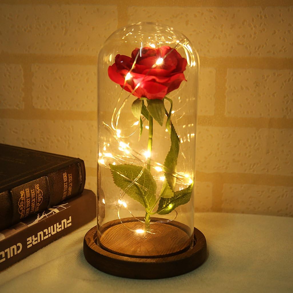 Lampe En Forme De Rose Fraiche Conservee Dans Un Verre Romantique En Bois Pour La Saint Valentin Warmmie La Belle Et La Bete Un Anniversaire Beige Ameublement Et Decoration Decoration De La Maison Lampe En Forme De Rose Fraiche Conservee Dans Un Verre Romantique En Bois Pour La Saint Valentin Warmmie La Belle Et La Bete Un Anniversaire Beige Ameublement Et Decoration Decoration De La Maison