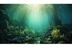 RIIVVDISE Ocean Aquarium Background Underwater Kelp Forests Fish Tank Background Under The Sea Aquatic Plants Sunrays Reptile Fish Tank Backgrounds Ocean Bed Rock Seagrass Aquarium Backgrounds 24x16in