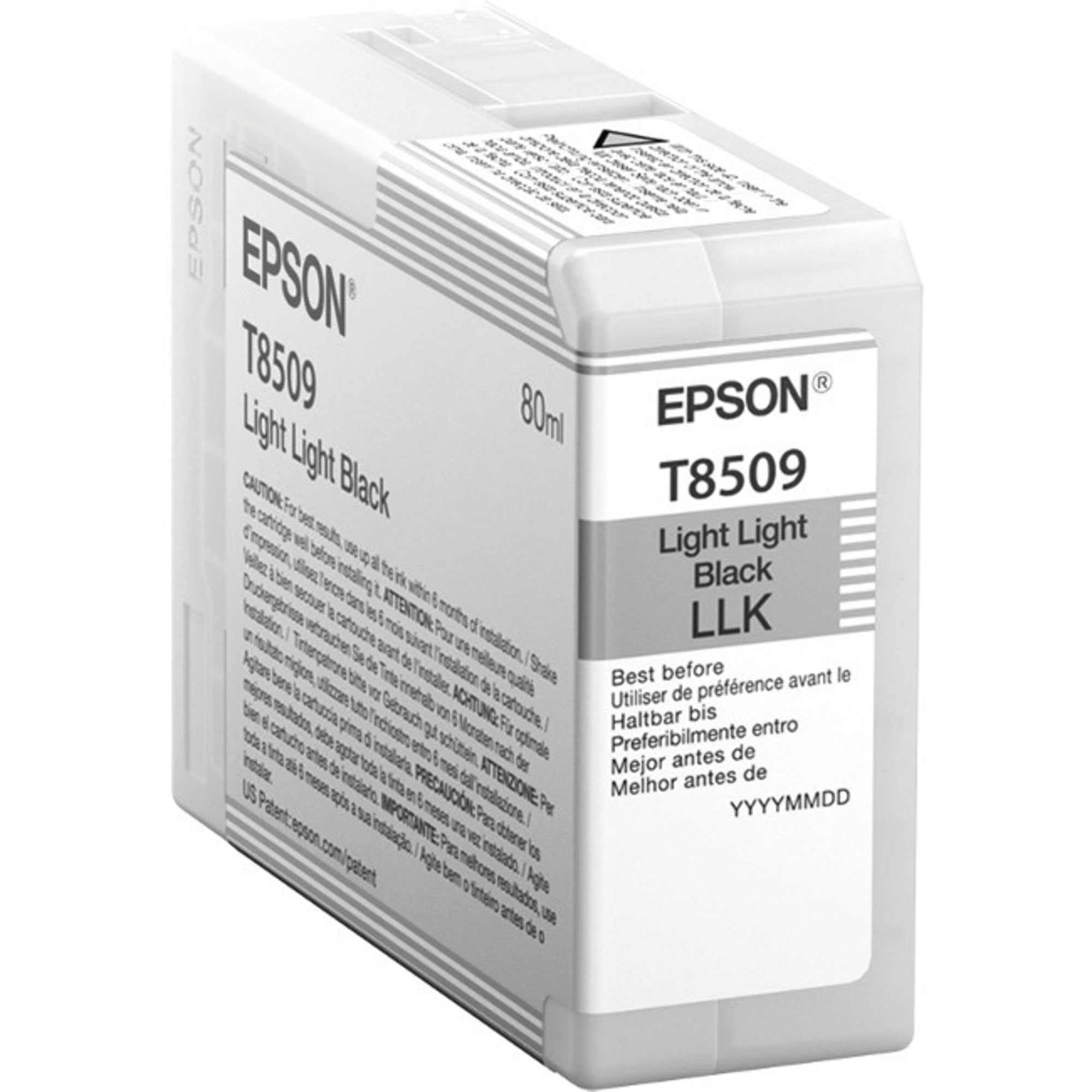 Epson Light Light Black Ink Cartridge C13T850900
