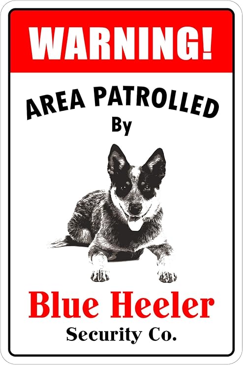 blue heeler products