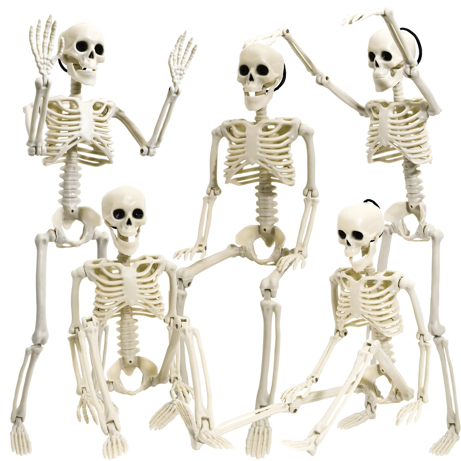 Photo 1 of 5 Pack Halloween Skeleton Decoration,16" Full Body Posable Skeleton Realistic Human Bones with Posable Joints for Halloween Pose Prop Decor Yard Lawn Garden Patio Outdoor Haunted House Decorations
