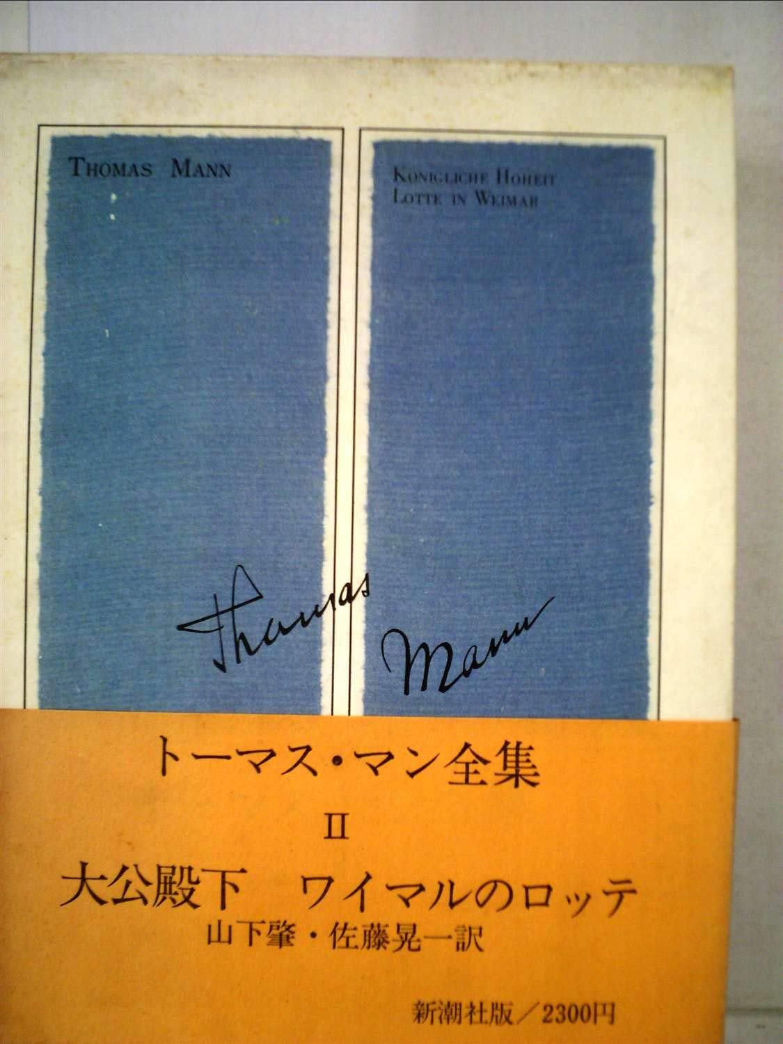 絶妙 新品 本 トーマス マン物語 2 亡命時代のトーマス マン クラウス ハープレヒト 著 岡田浩平 訳 最終値下 Farmerscentre Com Ng