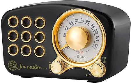 Amazon 小型ラジオ 人気 ワイド Fm ラジオ 充電式 ポータブルラジオ 高感度 大音量 多機能 簡単操作 家電 カメラ