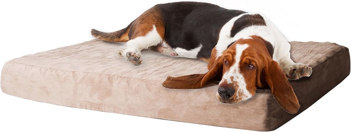 foam dog bed with removable cover