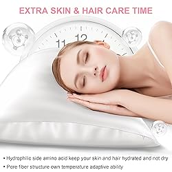 Mulberry Silk Pillow Cases 2 Pack Standard Size