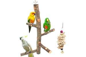 SURUIKEI Bird Perch Nature Apple Hard Wood Stand, Parrot Stand Toy Branch Platform Paw Grinding Stick for Small Parakeets Cockatiels Conures Parrots Love Birds Finches Cage Accessories (Set 1)