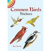 Common Birds Stickers (Dover Little Activity Books: Animals)