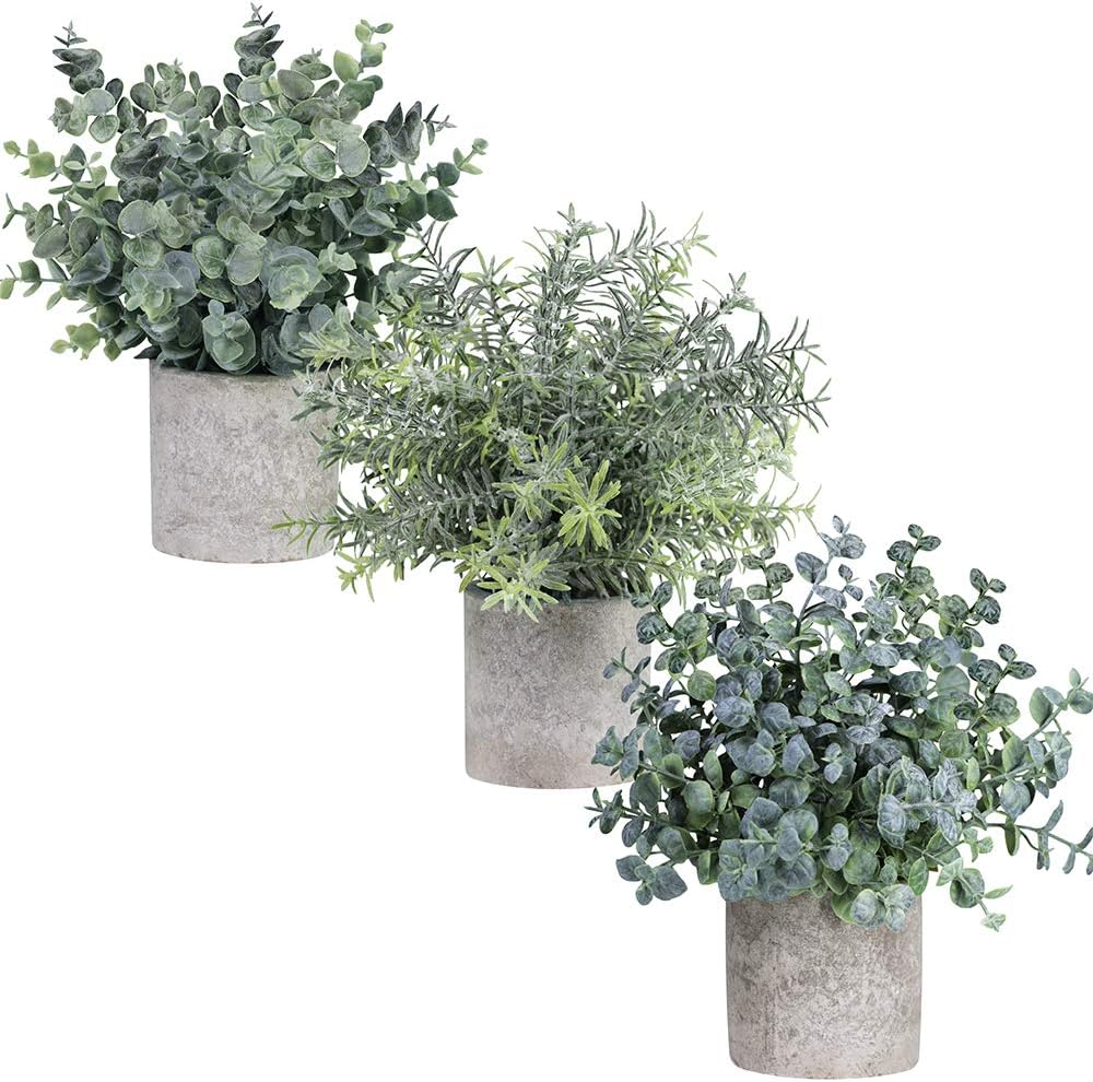 Winlyn Set of 3 Mini Potted Artificial Eucalyptus Plants Plastic Fake Green Rosemary Plant for Home Decor Office Desk Shower Room Decoration -
