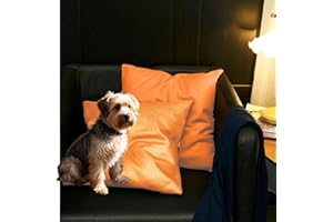 SUSIE'S GARDEN Set of 2 18 x 18 Pillow Covers, Anti Pet Hair Throw Outdoor Pillow Cover, Rustic Decorative Patio Pillow Covers, Pillow Covers 18x18 Inchs for Patio Sofa Couch Home Bed Decor, Orange