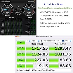 FLEANE 256GB MZ17C PCIe NVMe SSD Compatible with