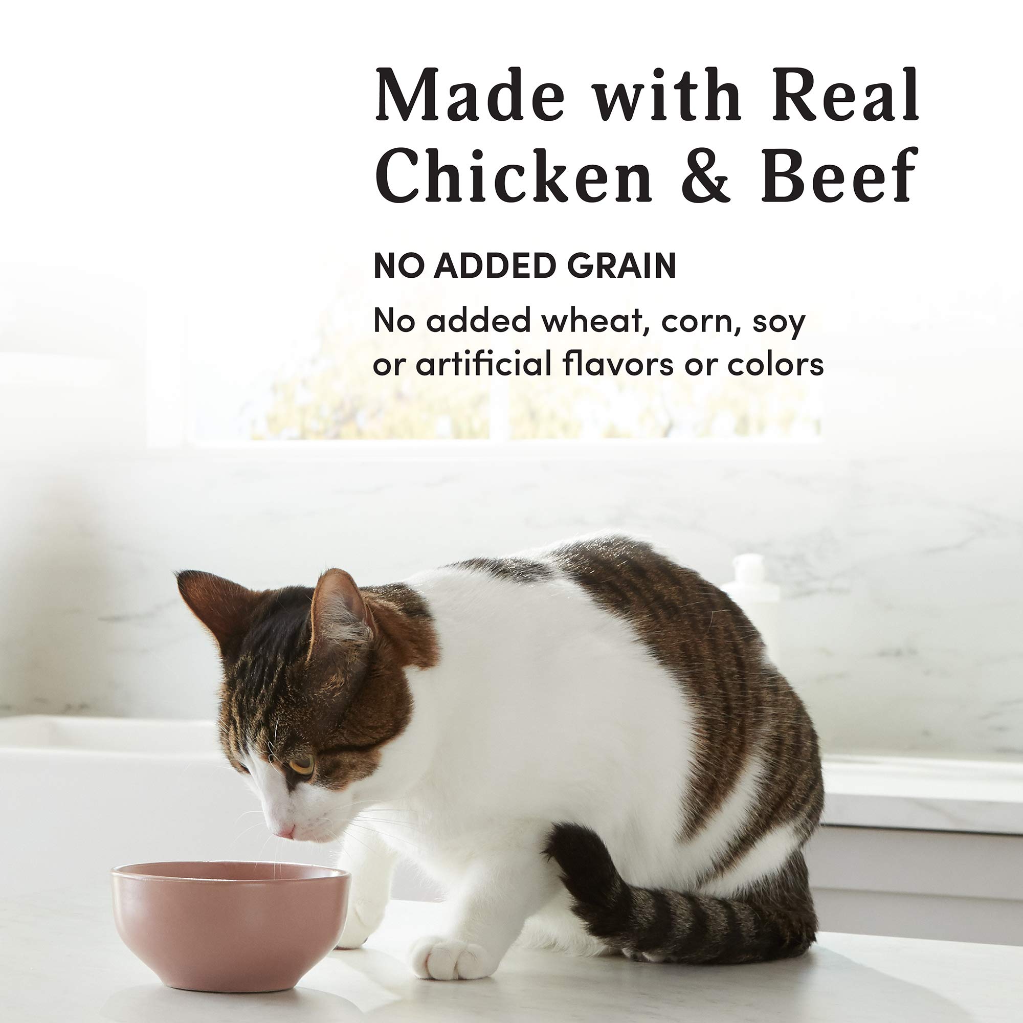Amazon Brand Kitzy Wet Cat Food, Chicken & Beef cuts in gravy, Grain
