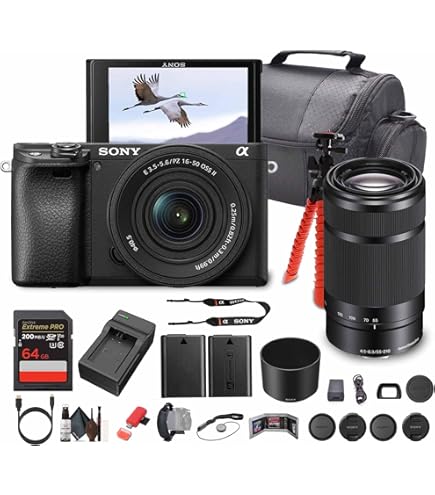 Amazon.com : Sony Alpha a6100 Mirrorless Camera with 16-50mm OSS