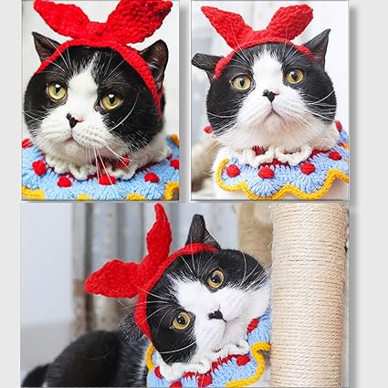 Amazon Oncpcare 猫頭飾り ねこのかぶりもの 手作り 可愛い 首輪 着脱簡単 調節可能 衣装 猫服 小型犬 犬猫用コスプレ クリスマス コスチューム 可愛さ100倍 Oncpcare 服 アクセサリー 通販