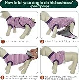Kuoser Recovery Suit for Dogs Post-Operative Purple Breathable 6 Sizes view 4