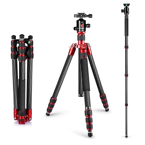 Best Tripods for DSLR Cameras (August 2024)