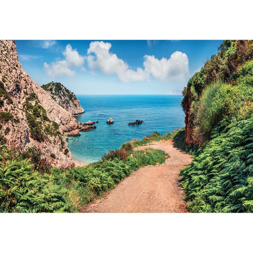 Aoihrraan 12x8ft Seaside Path Backdrop Blue Sea Sky Green Plants Mountains Summer Wonderland Photography Background Adventure Party Hiking Holiday Travel Tour Kids Adults Portrait Photo Studio Props