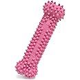 Nylabone Just for Puppies Petite Pink Dental Bone Puppy Dog Chew Toy