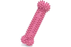 Nylabone Just for Puppies Petite Pink Dental Bone Puppy Dog Chew Toy