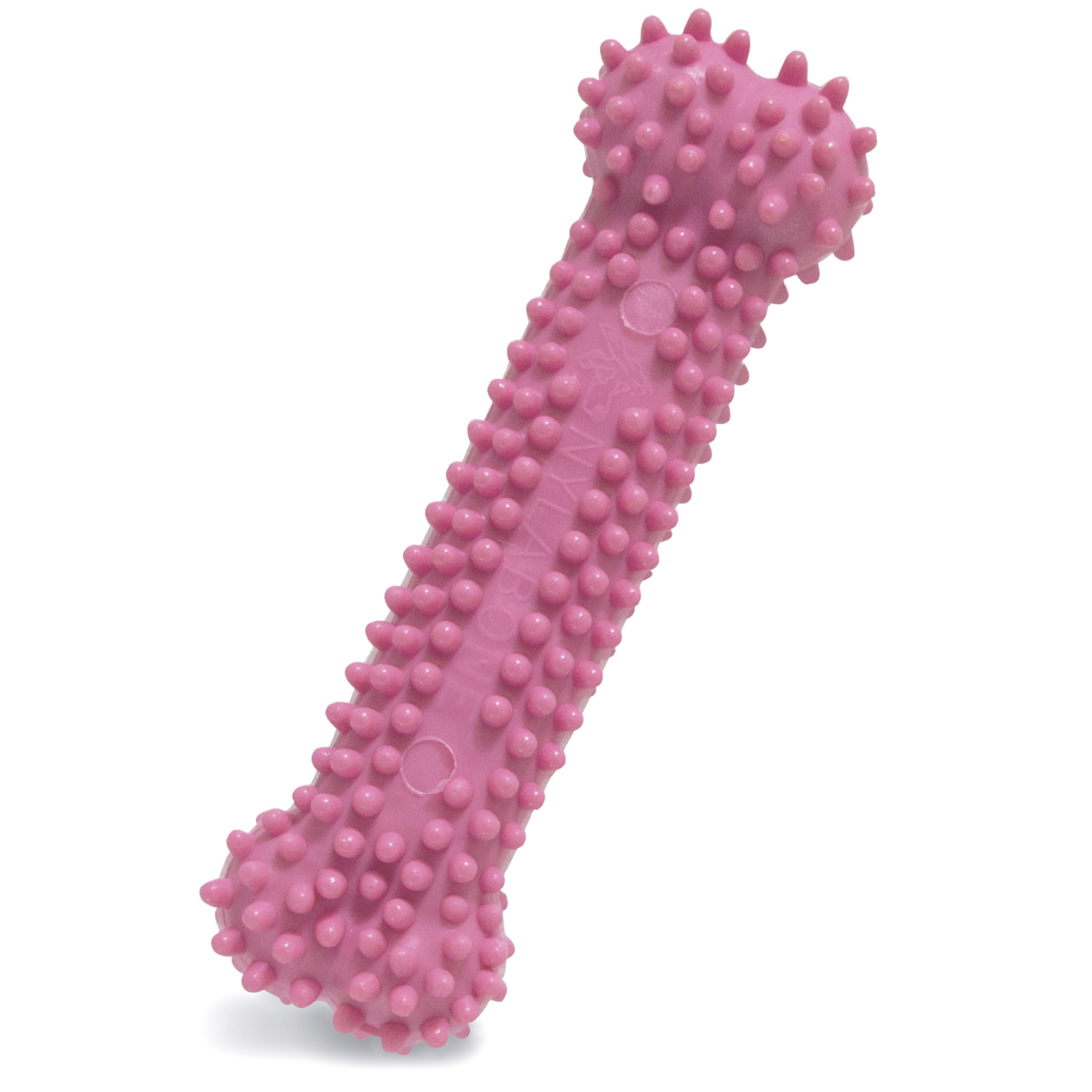Nylabone Gentle Puppy Teething Dental Chew Toy Bone with Nubs & Ridges, Chicken Flavour, Pink, XS, for Puppies Up to 7 kg