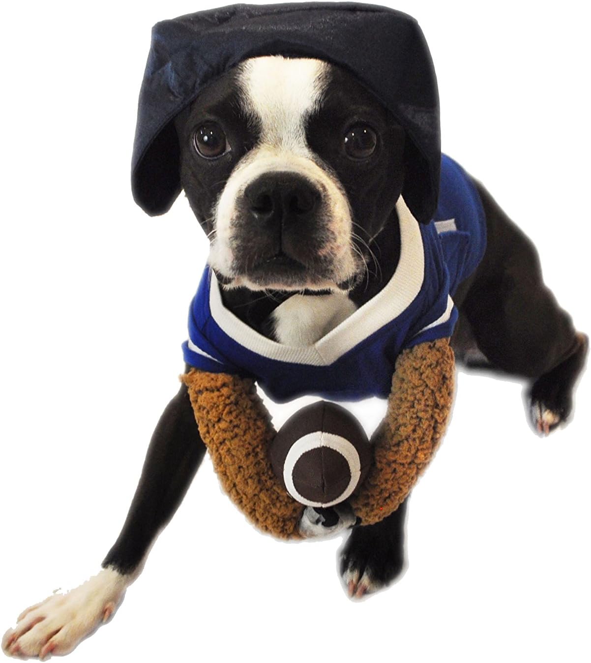 nfl dog apparel