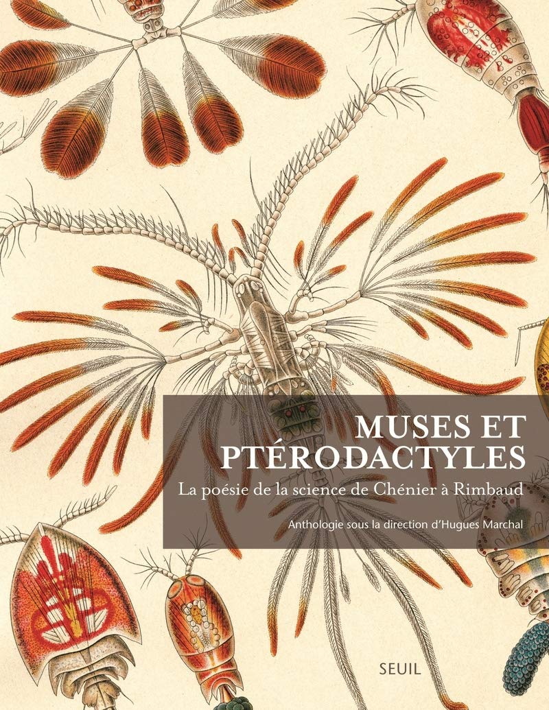 Muses Et Pterodactyles La Poesie De La Science De Chenier A Rimbaud Sciences French Edition Marchal Hugues 9782021113952 Amazon Com Books
