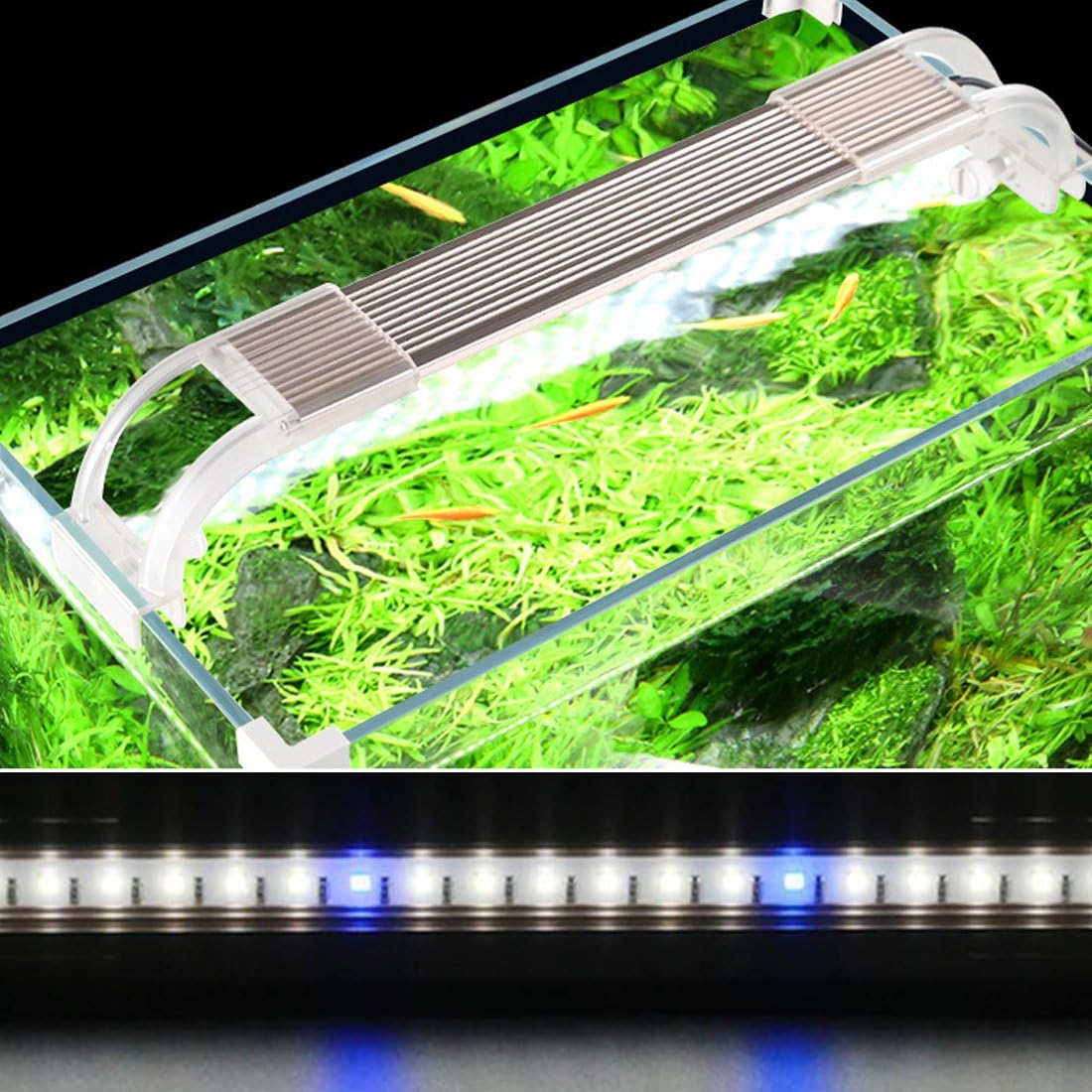 JackSuper Aquatic Plant Aquarium Light for Small Fish Tank, Growth