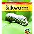Silkworm (2nd Edition) (Life Cycle of a . . .)