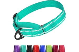 Collardirect Reflective Martingale Dog Collar Nylon Training Collars for Small Medium Large Dogs Puppy Pink Orange Green (L, Neck Size 16"-24", Mint Green)