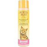 Burt's Bees for Cats Hypoallergenic Cat Shampoo with Shea Butter & Honey | Best Shampoo for Cats with Dry or Sensitive Skin |
