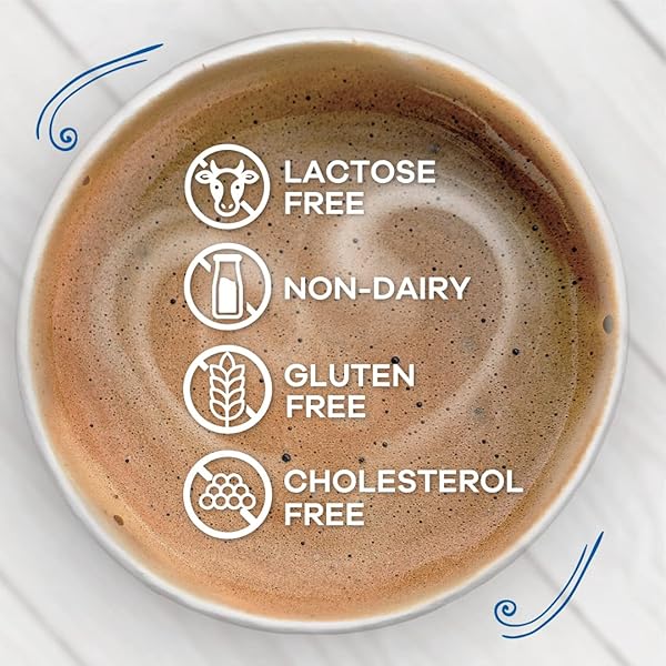 NESTLE COFFEE MATE FRENCH VANILLA COFFEE CREAMER LIQUID FOR WARM RICH FLAVORED COFFEE LACTOSE FREE GLUTEN FREE NON DAIRY CREAMER FOR UP TO 32 CUPS (16 OZ)