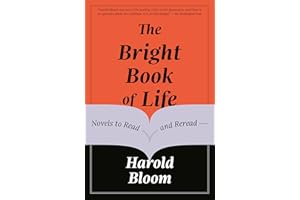 The Bright Book of Life: Novels to Read and Reread