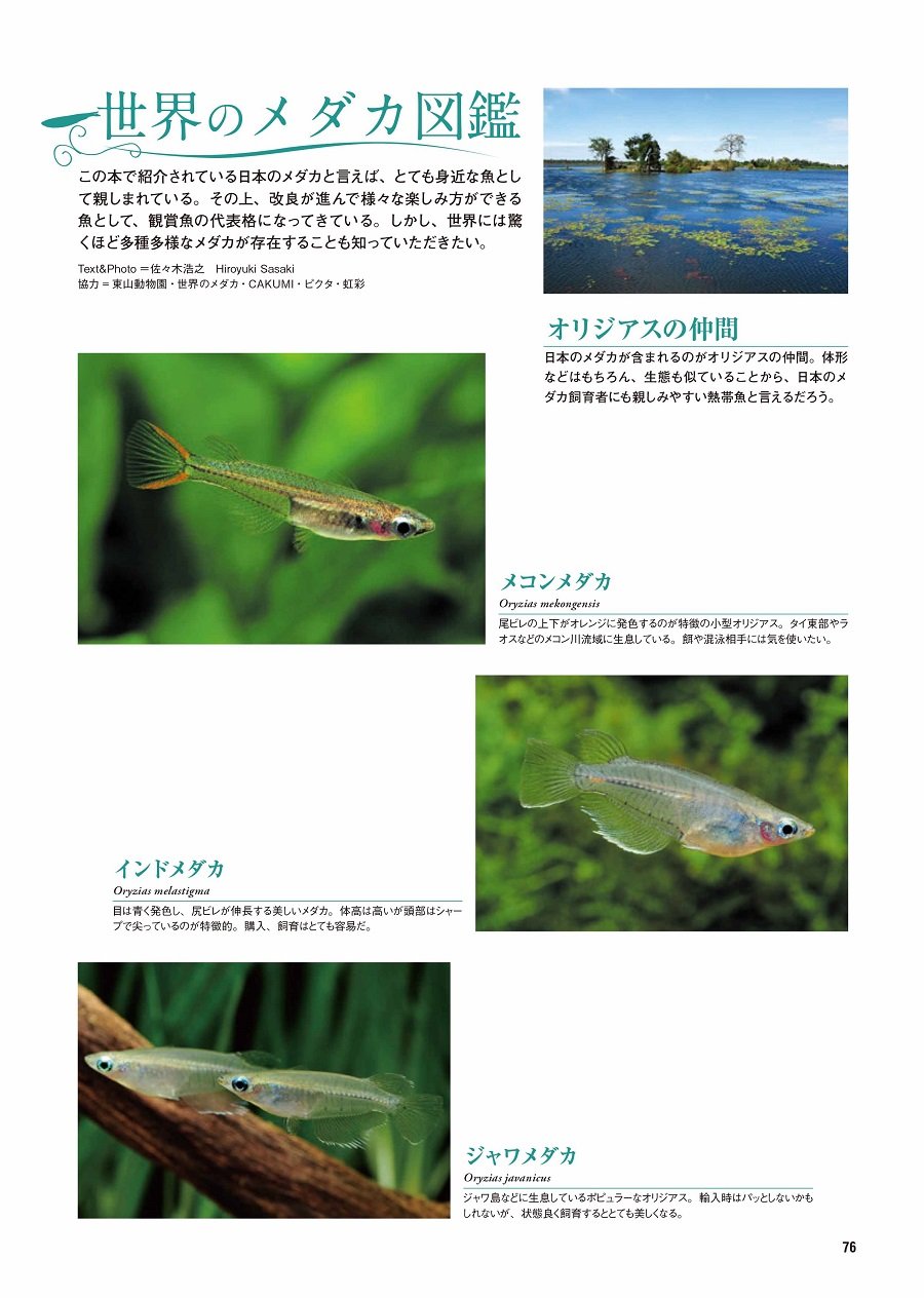 Claudeni School Books Sakuramukku Amazon Com Books