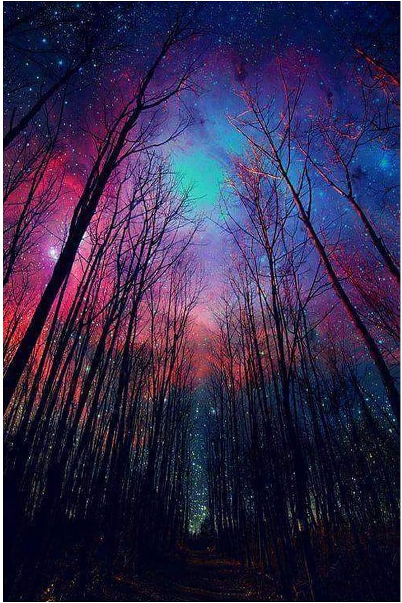 Fipart DIY Diamond Painting by Numbered kit, Full-drilled Starry Forest Cross-Stitch Art Craft Wall Decoration,18X12 inches