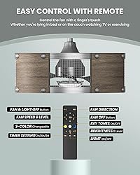 Frstem 19 Inch Farmhouse Caged Ceiling Fan, Solid