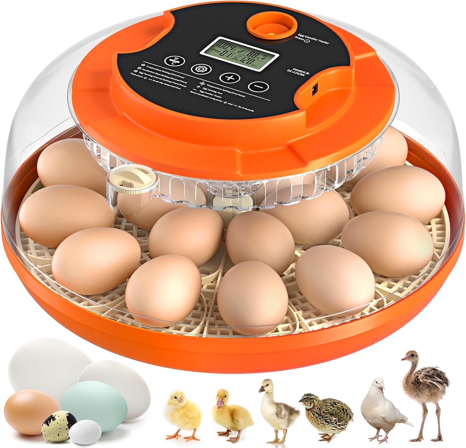 Photo 1 of 18 Egg Incubator with Automatic Egg Turning and Humidity Control, Eggs Incubators for Hatching Eggs Chicken Quail Ducks Goose Parrot for Home Classroom Lab Farm