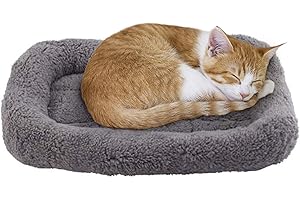 lesypet Cat Beds for Indoor Cats, 15" x 10" Small Cat Bed Curl Sleep Plush Cushion with Pillow, Non-Slip Bottom Washable Mat for Small Pet Puppy Rabbit, Small