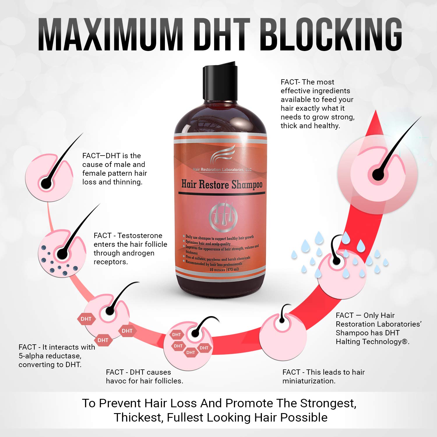 Hair Restoration Laboratories Hair Restore Shampoo, DHT Blocker to Prevent Hair Loss, Sulfate-Free for Color Treated Hair, Effective Daily Use Hair Thickening Thinning Hair for Men and Women, 16 oz: Beauty