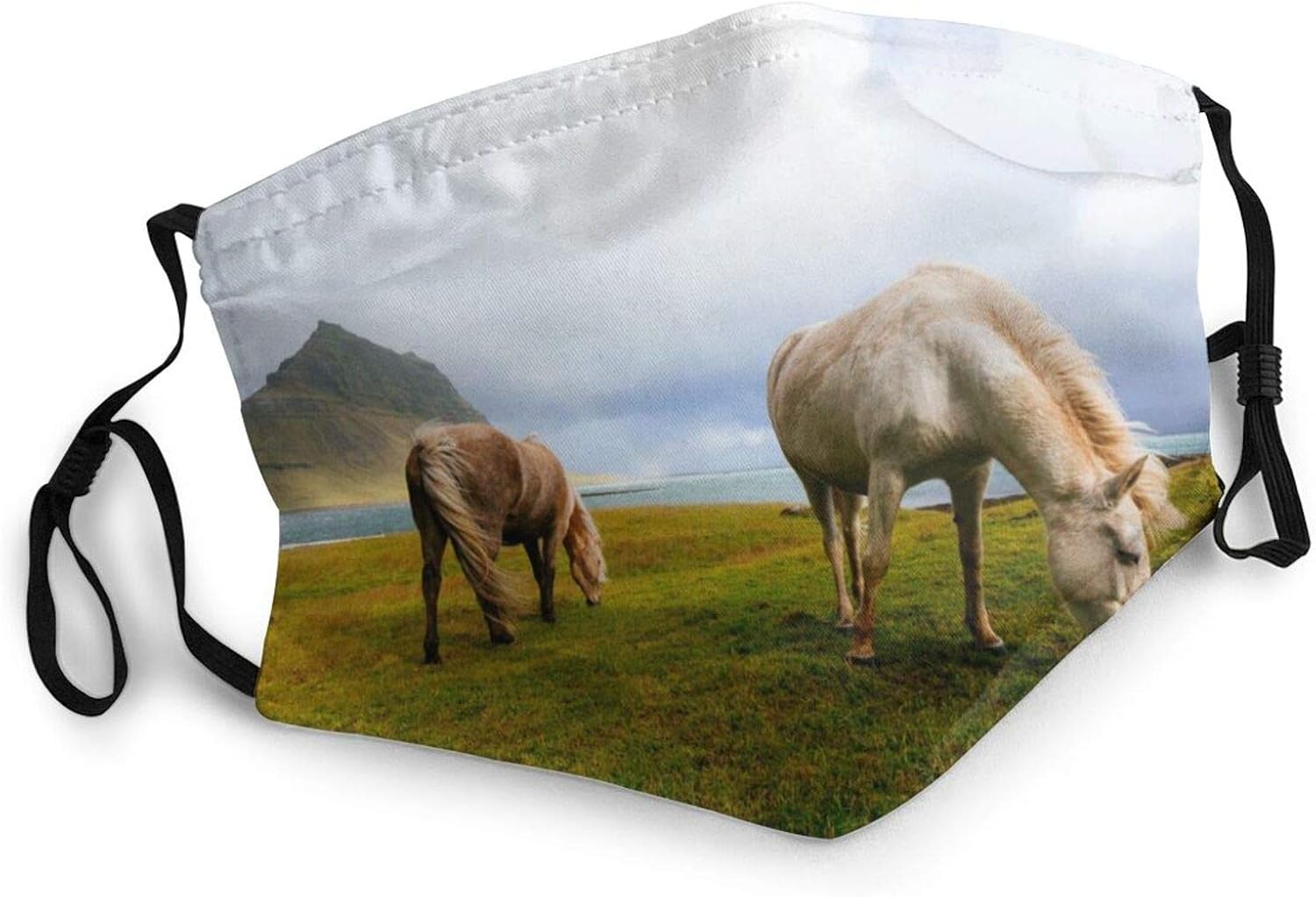 Face Masks for Adults Dust Horses Horses Icelandic Iceland Field