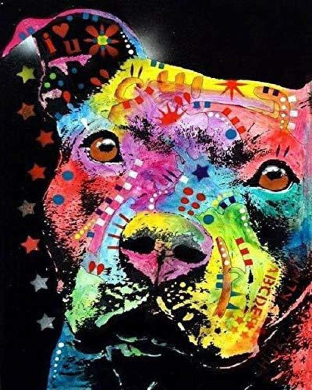 BJLBABY Diy oil painting Color dog Paint by Numbers Kits Canvas Painting for Adults Advanced Children Seniors Junior Number Painting Gifts （Without Frame 16x20inch）