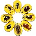 Western Eagle Workshop 8pcs Amber Fossil with Insects Samples Stones Crystal Specimens Home Decorations Collection Oval Pendant