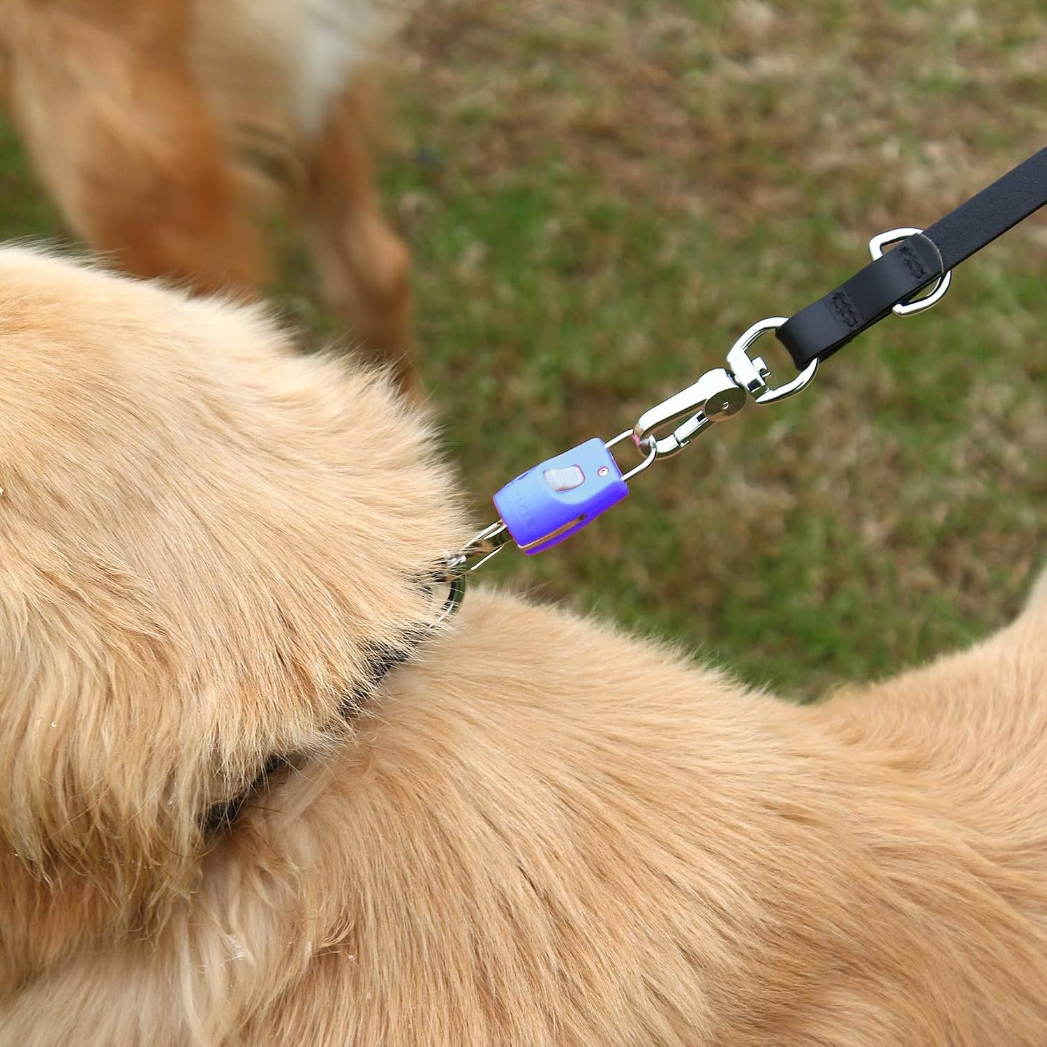dog leash connector