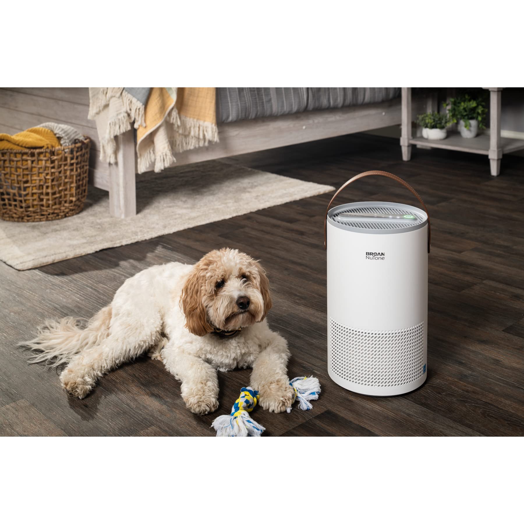 Broan-NuTone BNAP-100 Air Purifier with Verified Zero Ozone and Auto Particulate Sensing to Detect and Remove Pollutants, True HEPA