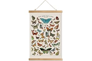 XIAOAIKA Vintage Butterfly Poster with Wooden Frame, Cottagecore Room Decor Aesthetic, Retro Style Wall Decor Art Painting for Nature Lovers, Classrooms, and Home Decor 16 x 23 Inches
