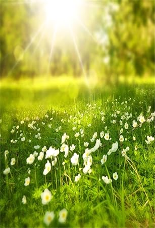 Amazon Com Aofoto 5x7ft Spring Meadow Background Sweet Florets And Sunbeam Photography Backdrop Grass Flowers Kid Baby Girl Adult Artistic Portrait Easter Photoshoot Studio Props Video Drape Wallpaper Drop Camera