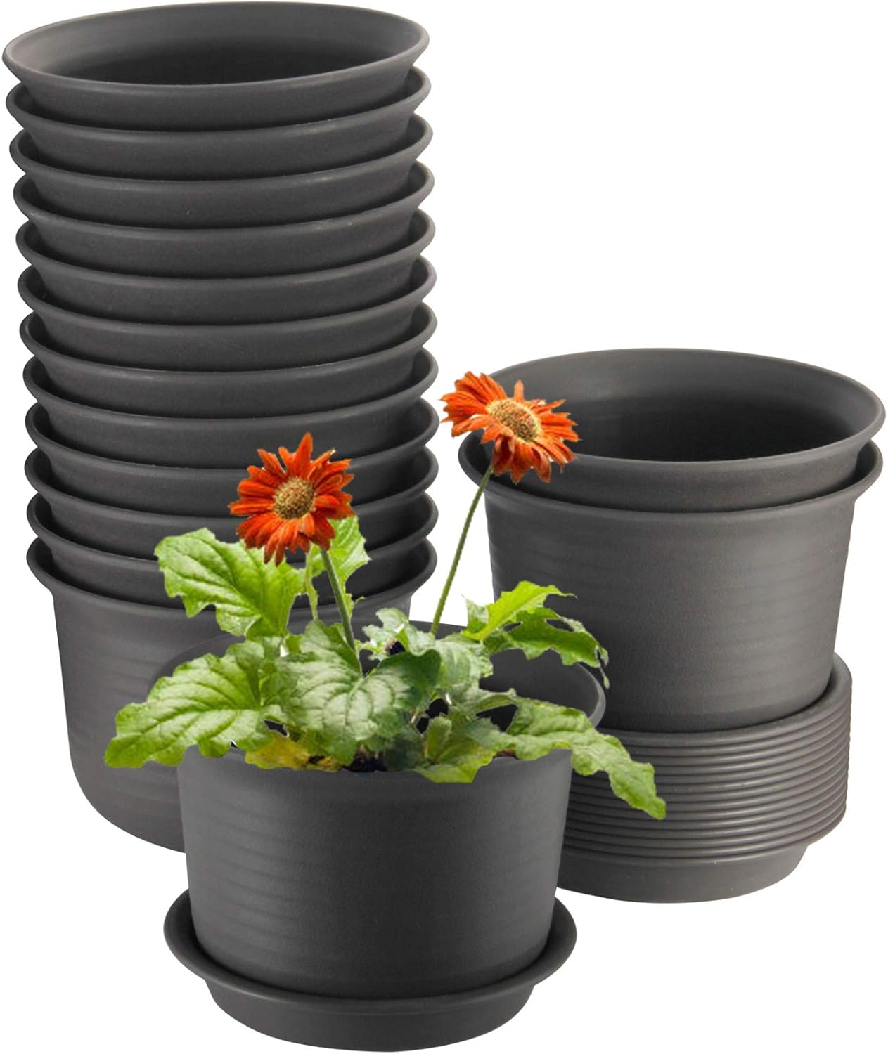 Plant Pots, ZOUTOG 6 inch Plastic Planters with Drainage Hole and Tray, Pack of 15 - Plants Not Included, Brown : Garden & Outdoor