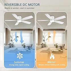 Ayaoty Ceiling Fans with Lights, 52 inch Low
