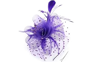 Durzasvo Women's Fascinators Tea Party Wedding Derby Mesh Flower Pearl Feather Fascinator Hat with Headband and Clip