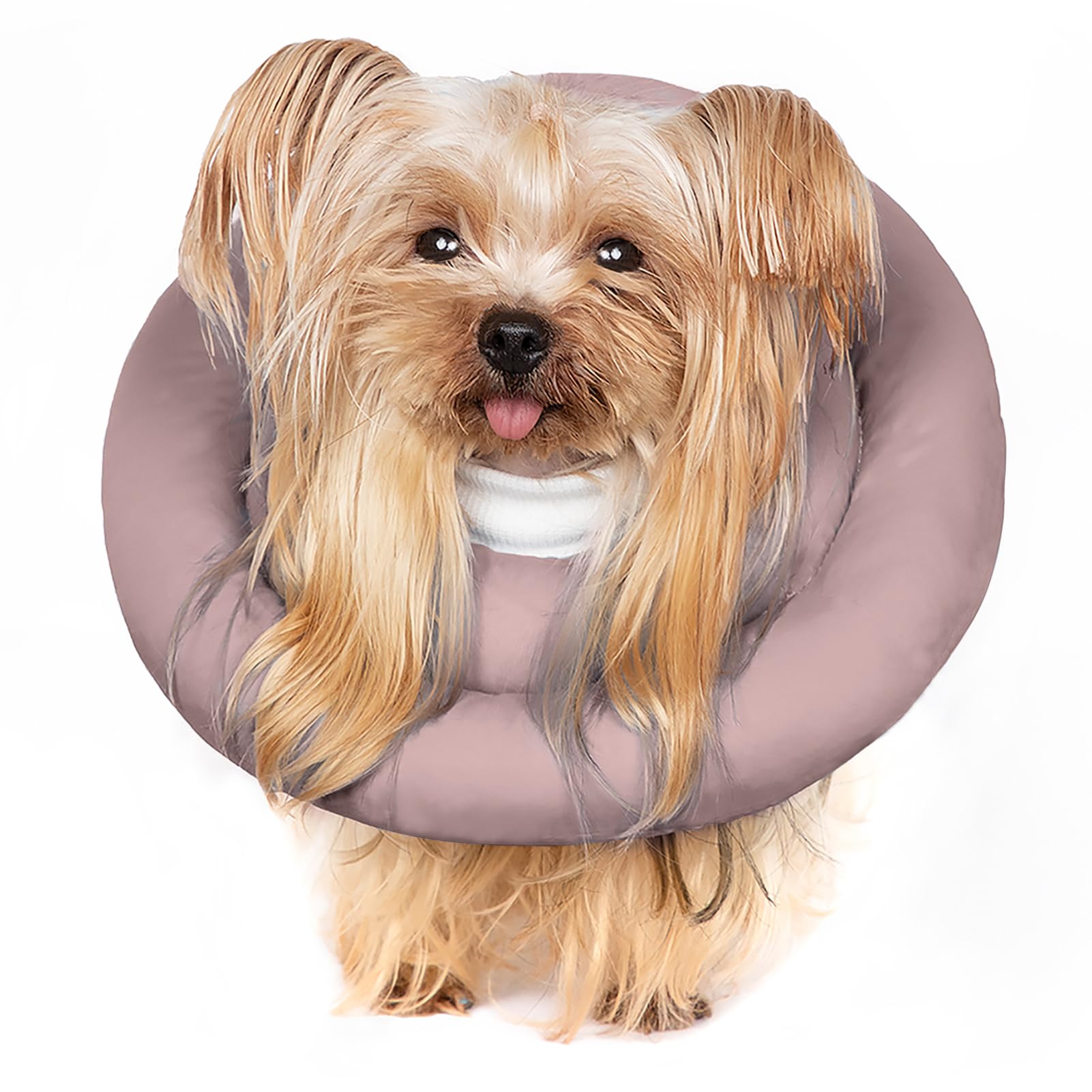 Photo 1 of Dog Cones for Small Dogs,Comfortable Adjustable Soft Dog Cone Alternative After Surgery,Elizabethan Donut Collar for Small Dogs Recovery,Different Sizes for Cats,Medium Dogs and Small Dogs